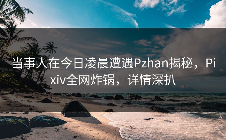 当事人在今日凌晨遭遇Pzhan揭秘，Pixiv全网炸锅，详情深扒