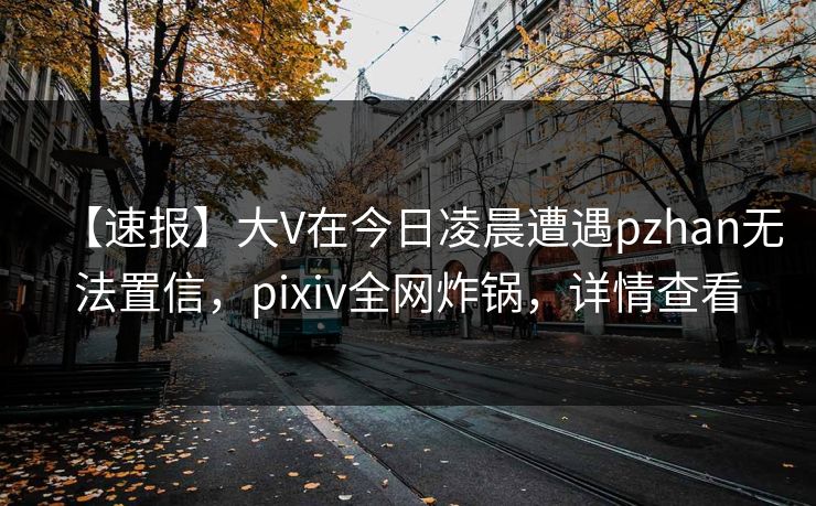 【速报】大V在今日凌晨遭遇pzhan无法置信，pixiv全网炸锅，详情查看