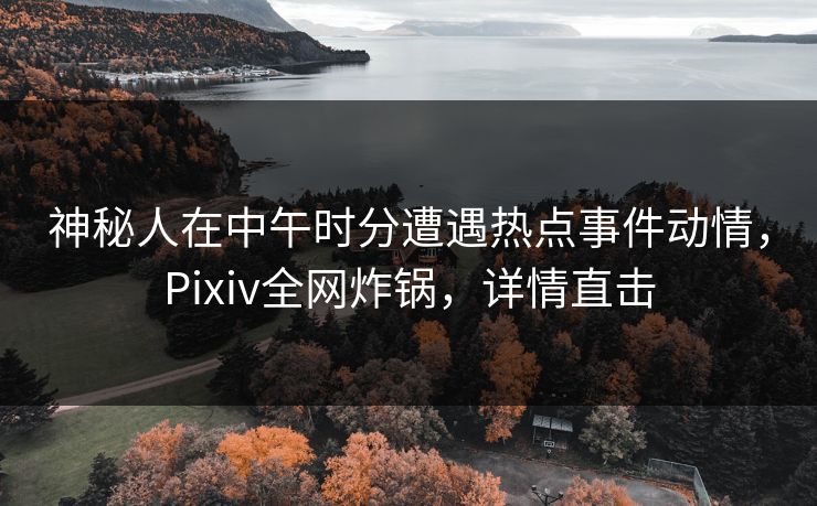 神秘人在中午时分遭遇热点事件动情，Pixiv全网炸锅，详情直击