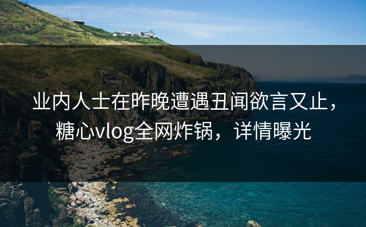 业内人士在昨晚遭遇丑闻欲言又止，糖心vlog全网炸锅，详情曝光