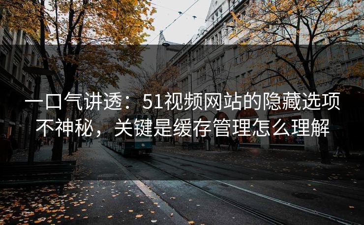 一口气讲透：51视频网站的隐藏选项不神秘，关键是缓存管理怎么理解