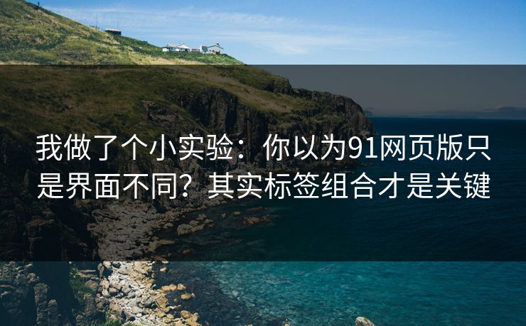 我做了个小实验：你以为91网页版只是界面不同？其实标签组合才是关键